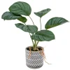 Banak Plantas Decorativas Artificiales*Basy