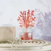 Banak Difusores De Aromas*Coral