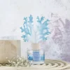 Banak Difusores De Aromas*Coral
