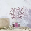Banak Difusores De Aromas*Coral