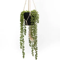 Banak Plantas Decorativas Artificiales*Kalen