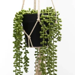 Banak Plantas Decorativas Artificiales*Kalen