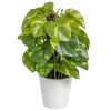 Banak Plantas Decorativas Artificiales*Lanke