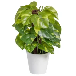 Banak Plantas Decorativas Artificiales*Lanke