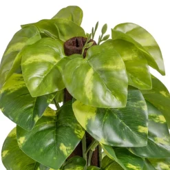 Banak Plantas Decorativas Artificiales*Lanke