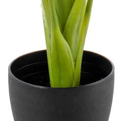Banak Plantas Decorativas Artificiales*Latam