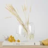 Banak Jarrones Y Bandejas Decorativas*Mike