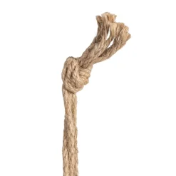 Banak Maceteros*Nagas