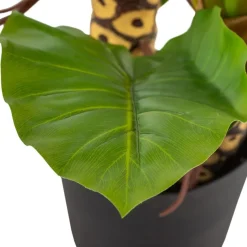 Banak Plantas Decorativas Artificiales*Pana