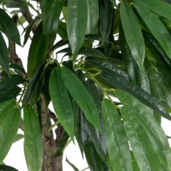 Banak Plantas Decorativas Artificiales*Sakas