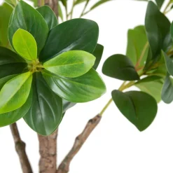 Banak Plantas Decorativas Artificiales*Tosy